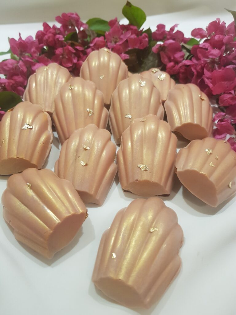 Babna's Honey and Vanilla Chocolate Madeleines